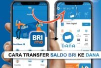 Cara Transfer Mobile Banking BRI ke Dana